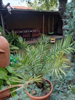 Szent György Panzió22