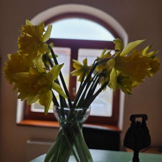 Napvirág Vendégház47