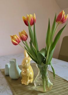 Napvirág Vendégház58