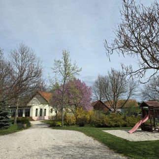 Napvirág Vendégház65