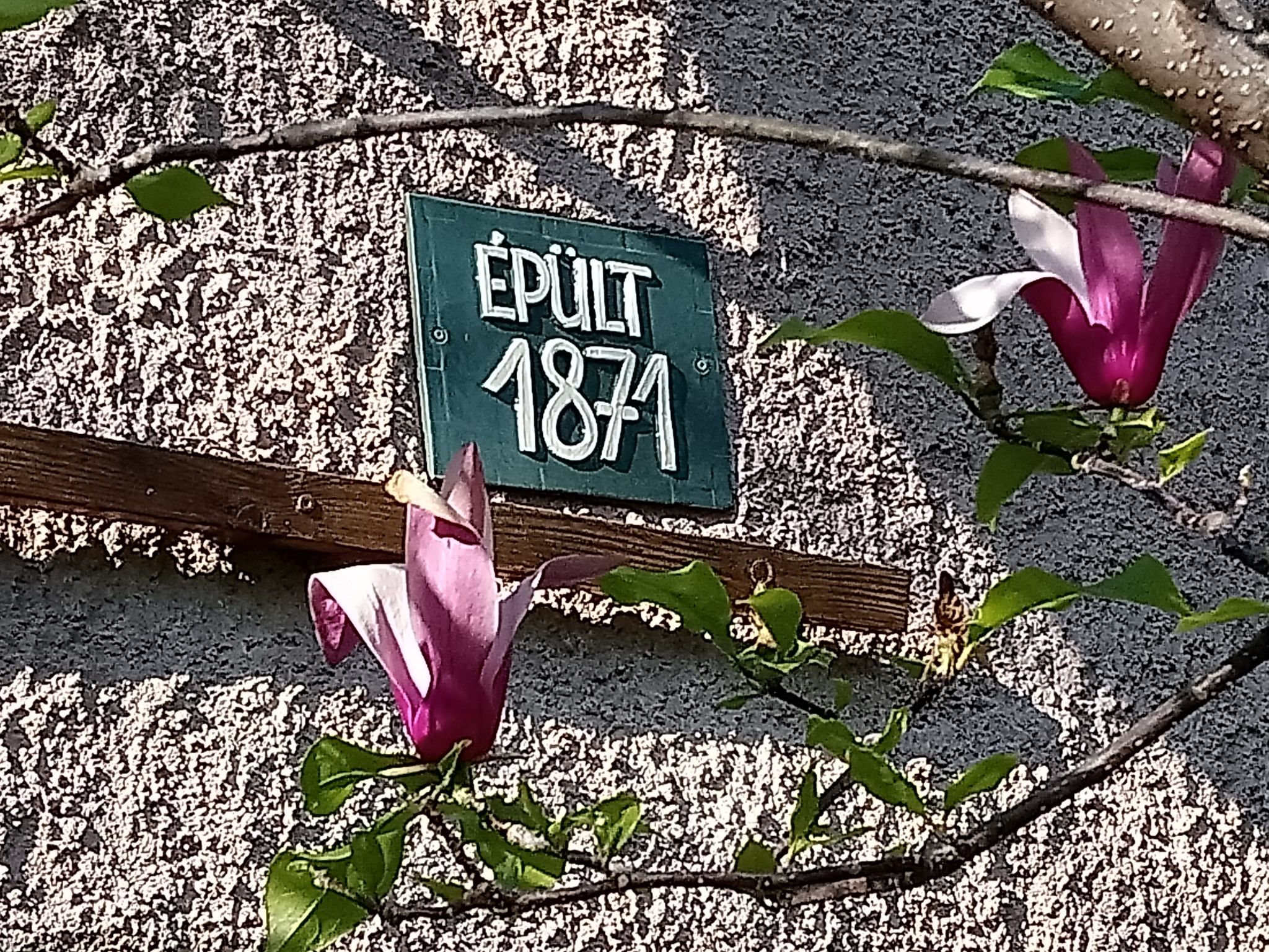 Diófás Vendégház – Kővágószőlős fotó 16