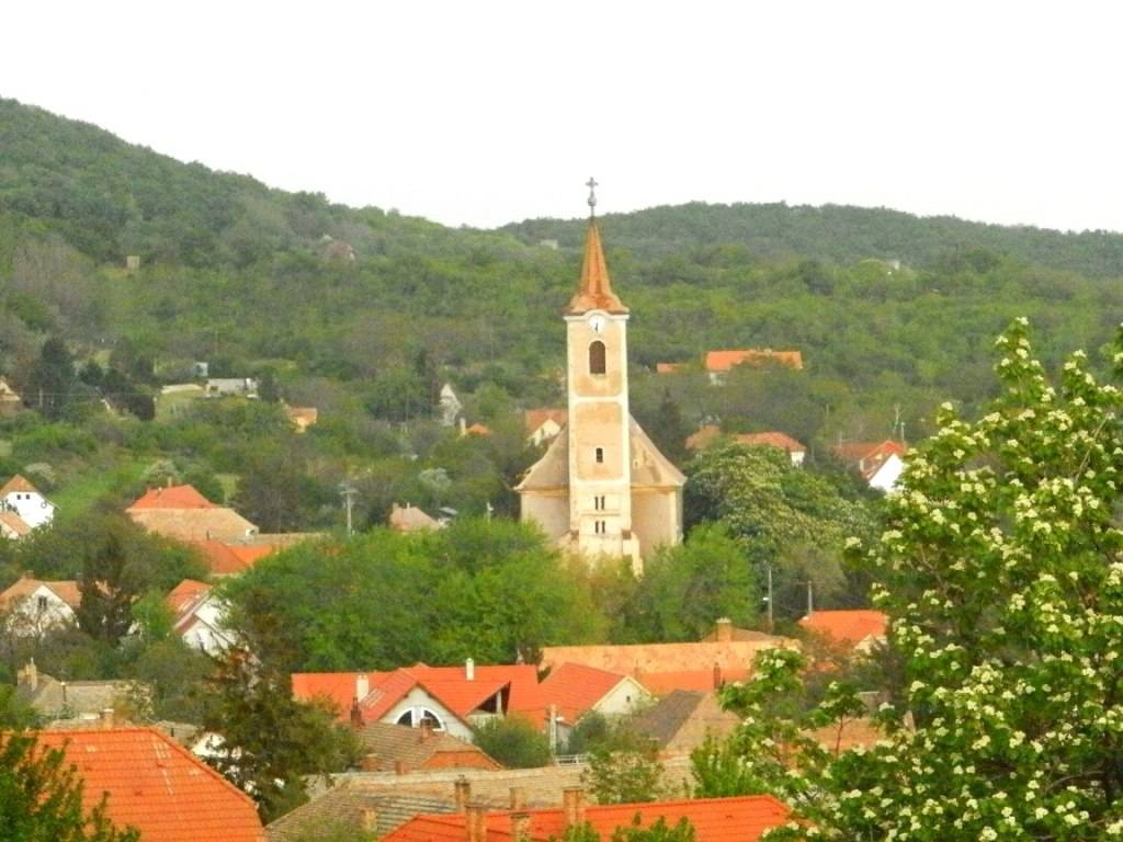 Diófás Vendégház – Kővágószőlős fotó 32