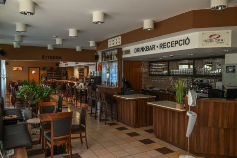 Hotel Opál45