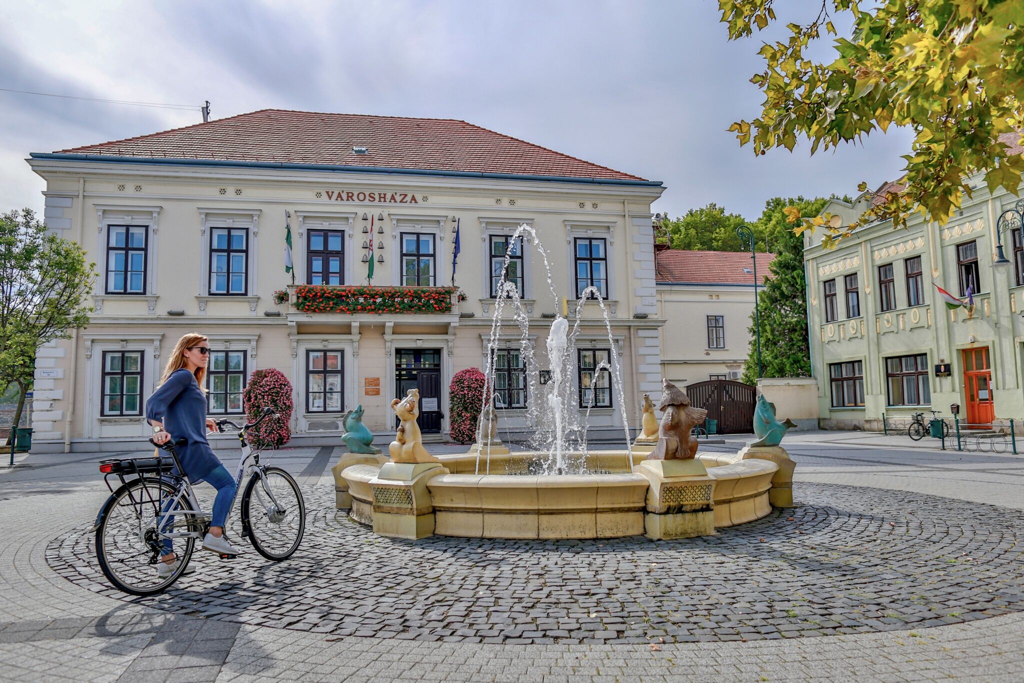 Aloe Apartman – Sárvár fotó 13