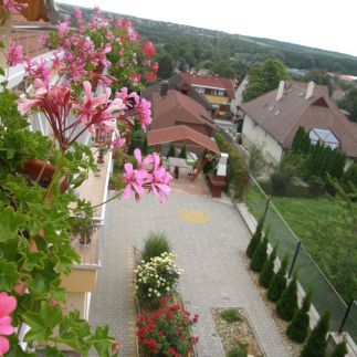 Casa Fortuna Vendégház2