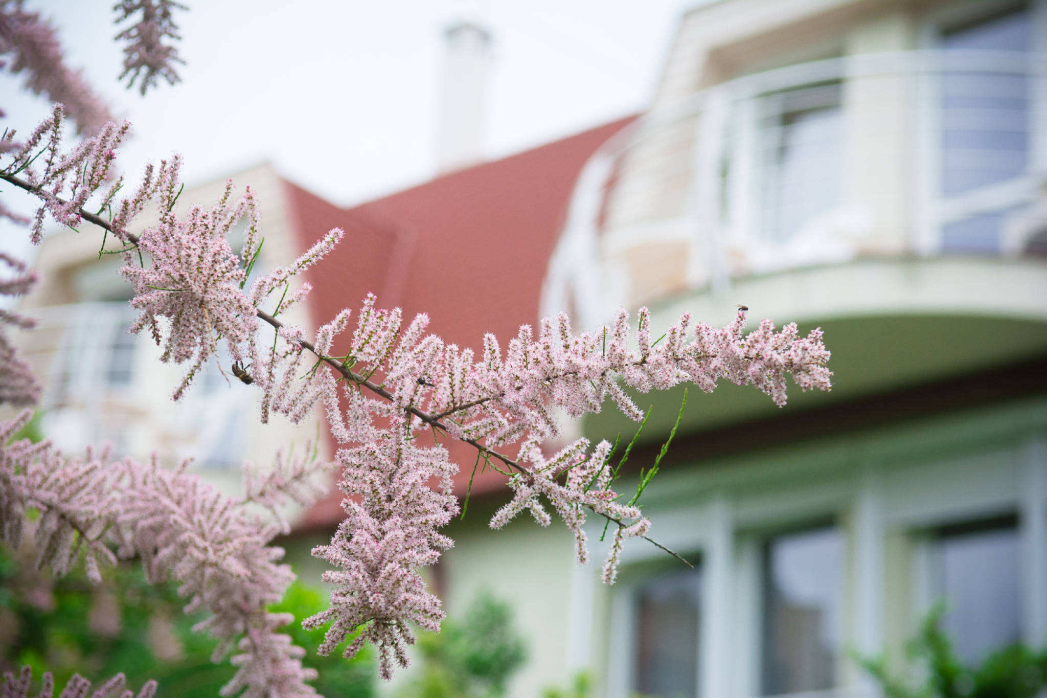 Illés Apartman II. – Hajdúszoboszló fotó 4