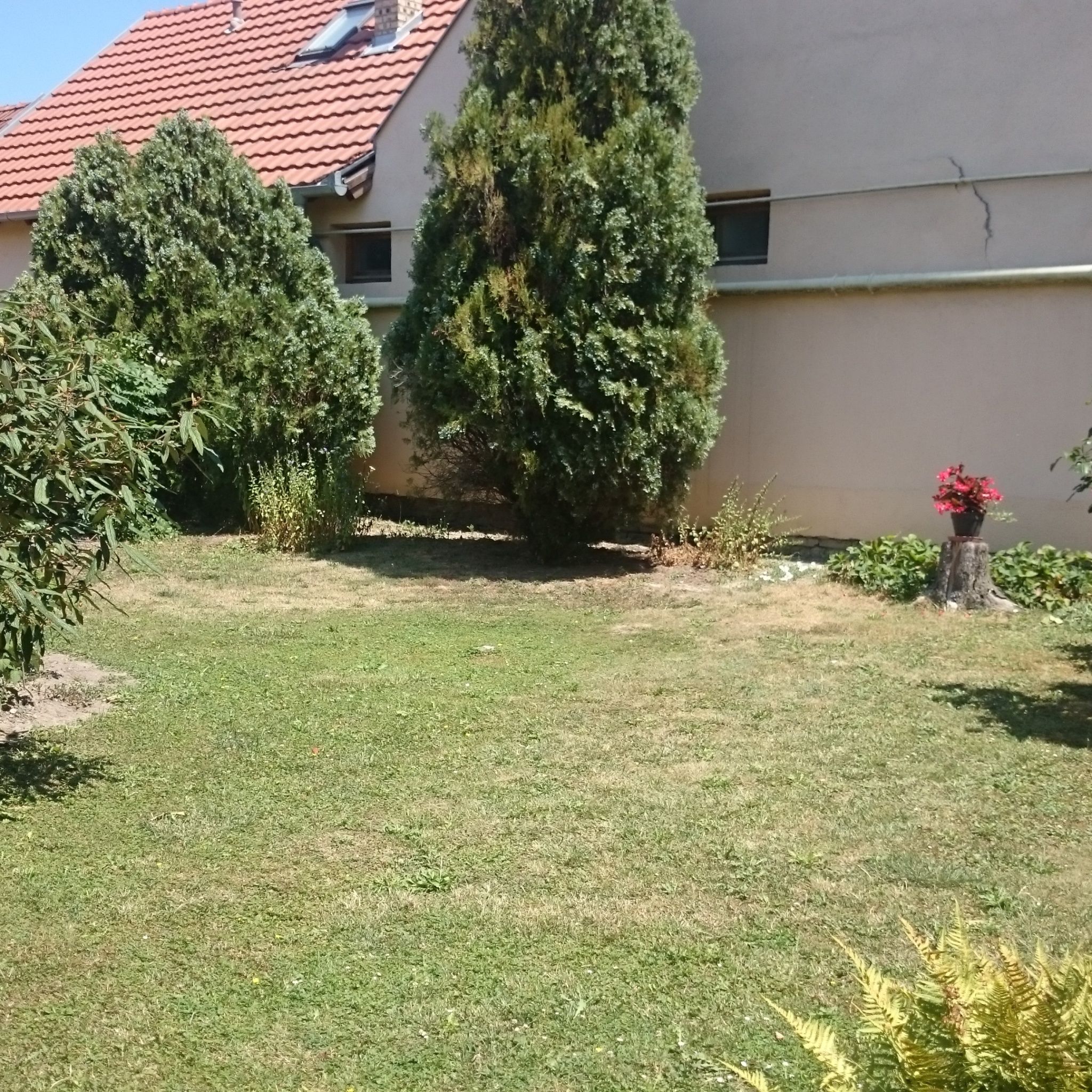 Apartman Szöllősi – Gyula fotó 5