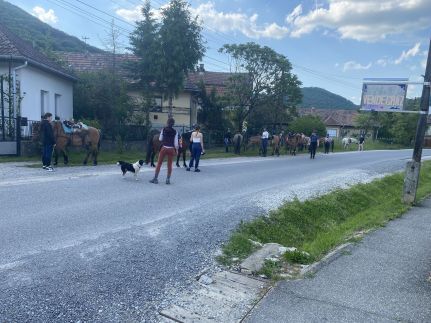 Holló Vendégház17