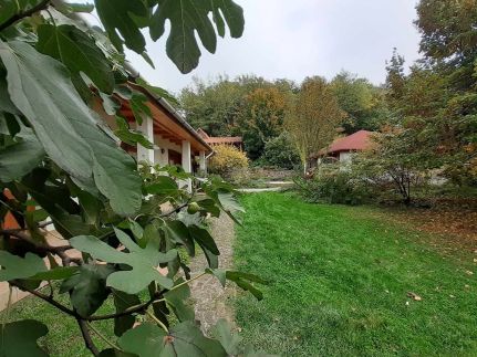 A Levendulás Apartman42