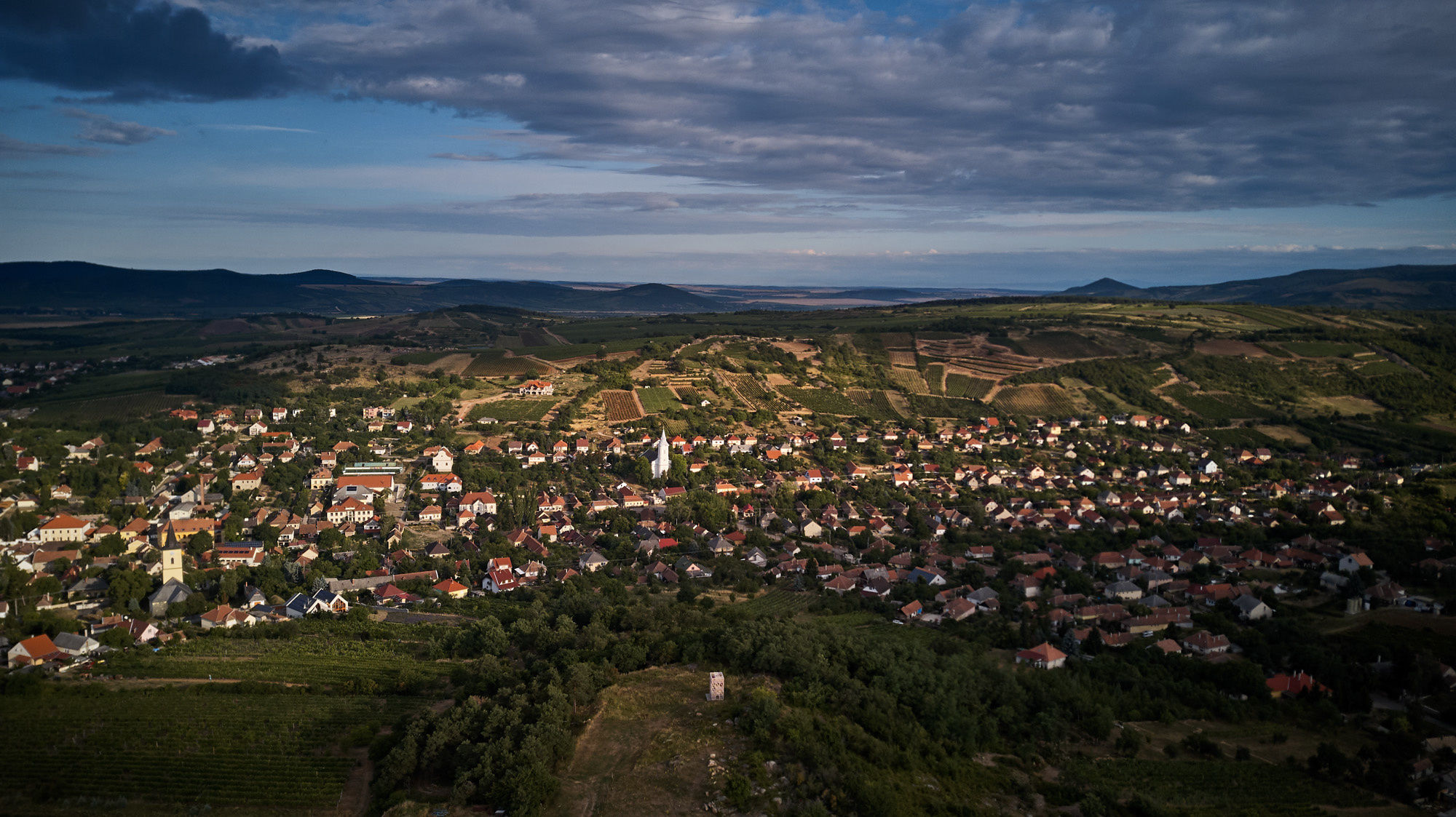 Borbarát Vendégház – Mád fotó 19