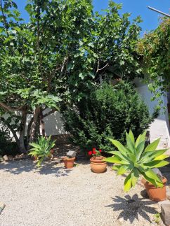 Zsuzsanna Apartman – Hévíz fotó 6