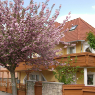 Zsuzsanna Apartman – Hévíz