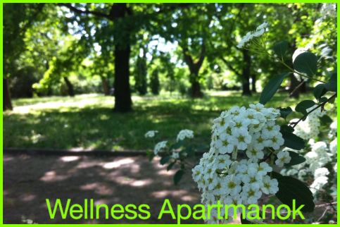 Wellness Apartmanok12