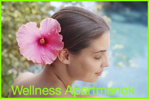 Wellness Apartmanok24