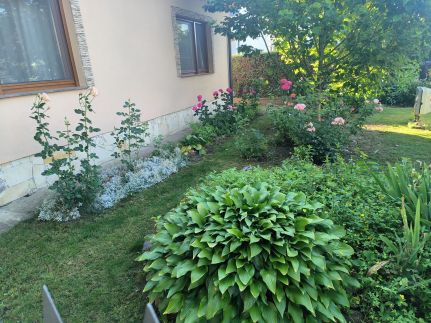 Erzsébet Vendégház12
