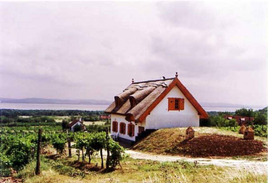 Vadvirág Vendégház – Balatonudvari