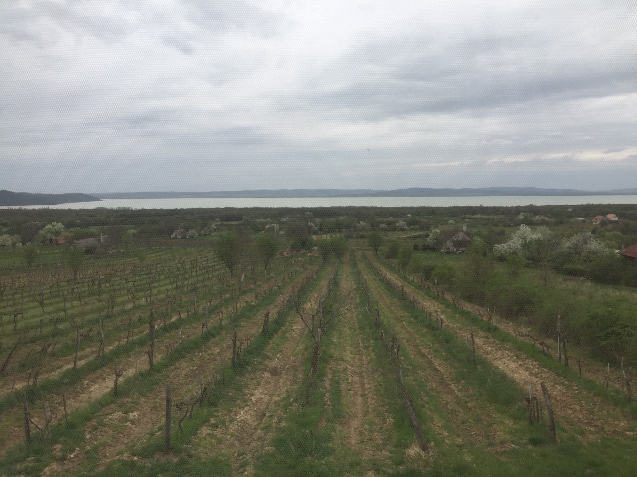 Vadvirág Vendégház – Balatonudvari fotó 1