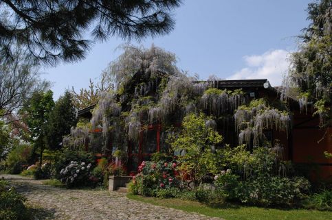 Garten Vendégház5