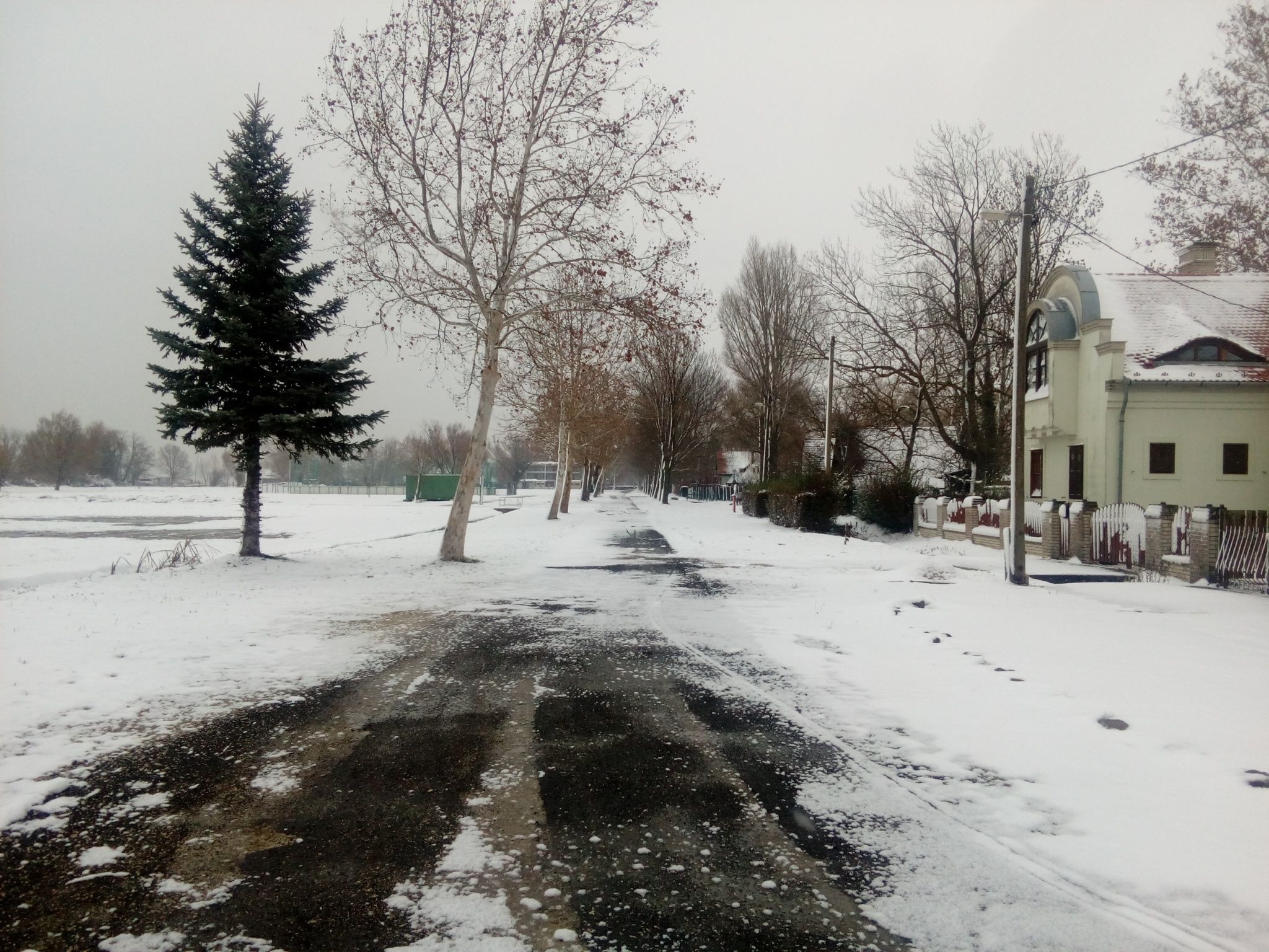 House Markó – Balatonmáriafürdő fotó 15