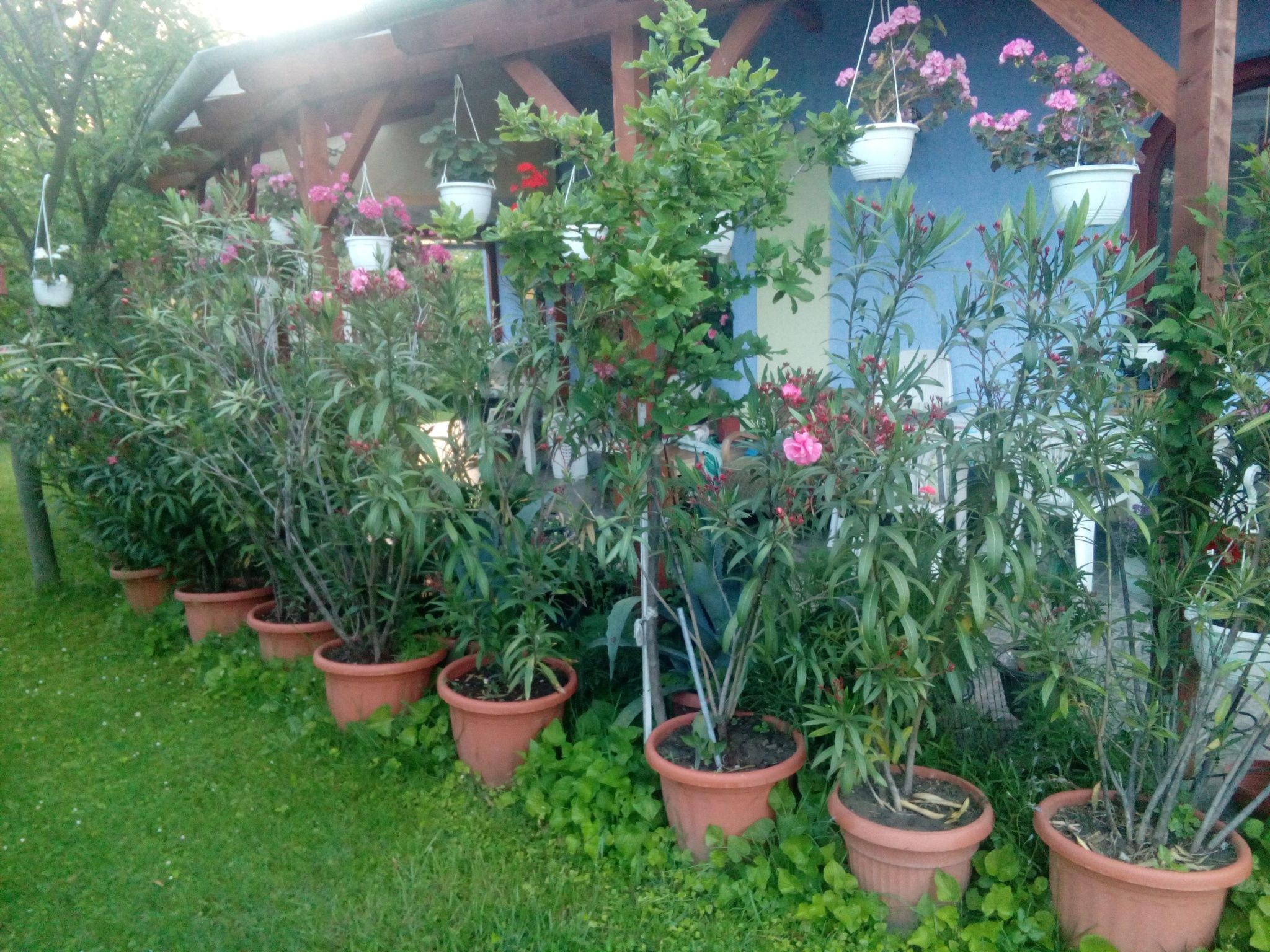 House Markó – Balatonmáriafürdő fotó 4