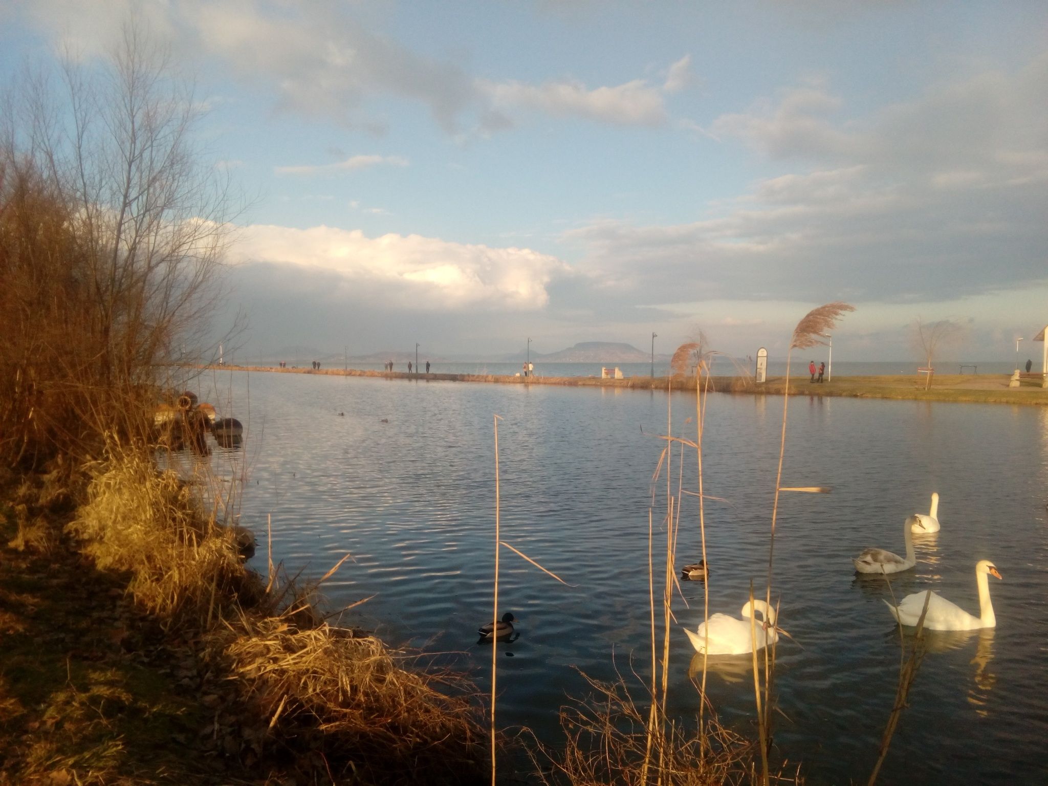 House Markó – Balatonmáriafürdő fotó 6