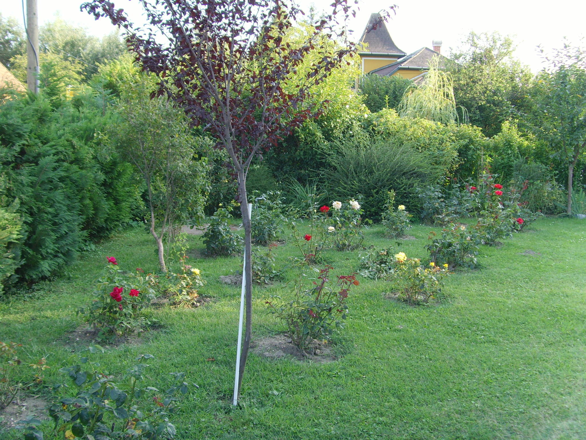 House Markó – Balatonmáriafürdő fotó 1