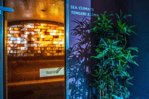 Budapest Airport Hotel Stáció – Vecsés fotó 28