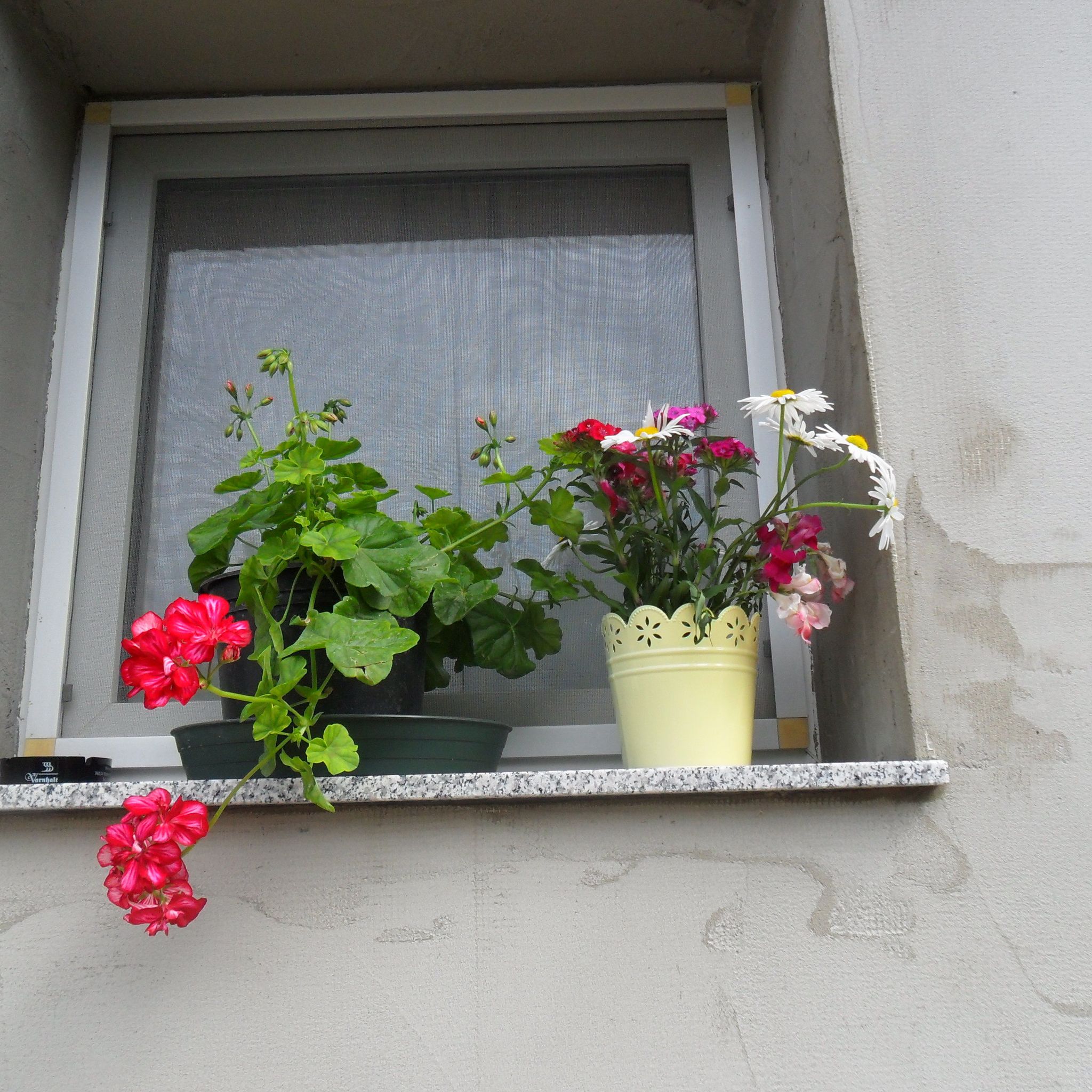 Fortuna Apartman – Gyula fotó 2