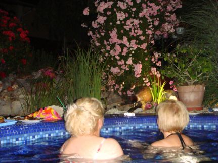 Holiday Vendégház és Szabadidőkert17