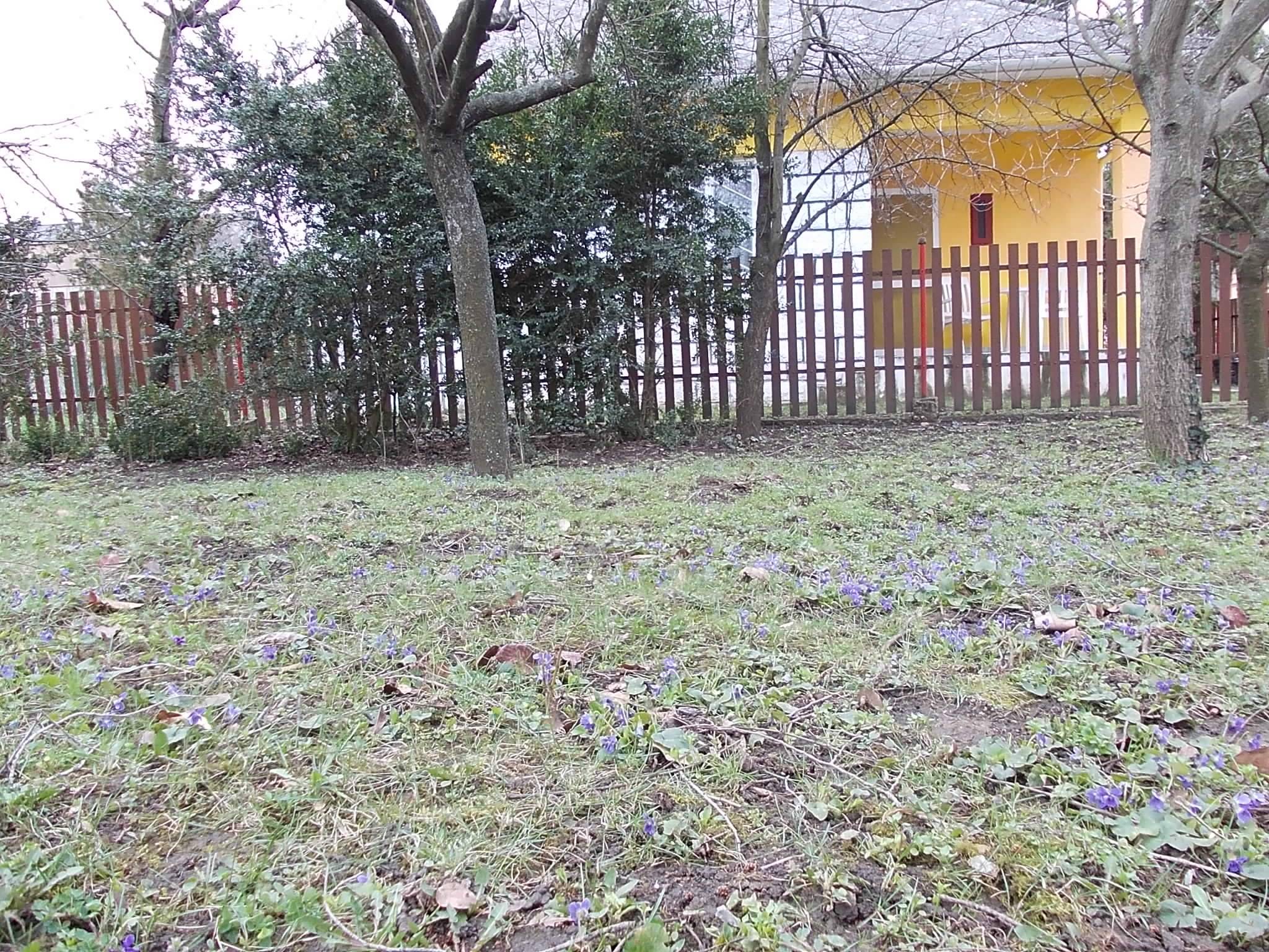 Puszta Apartman A – Berekfürdő fotó 2