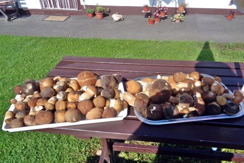 Nika Vendegház az Őrségben12