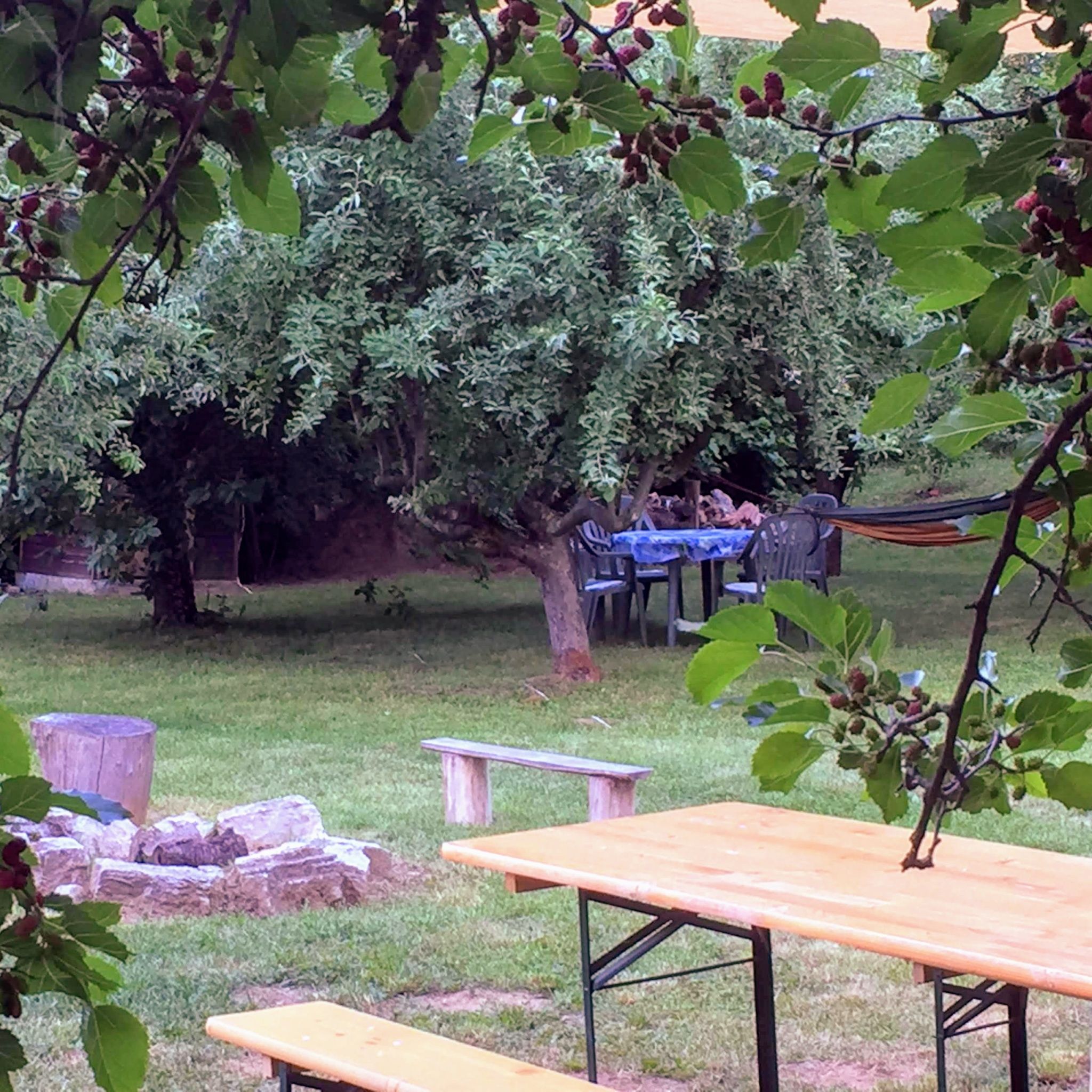 Baranya Apartman – Áta fotó 16