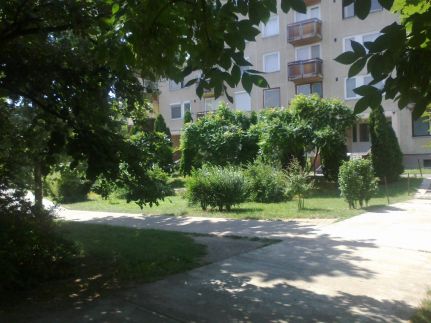 Adri Apartman7