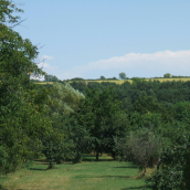 Öreg Masina Apartmanház