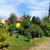 Gyöngyvirág Apartman