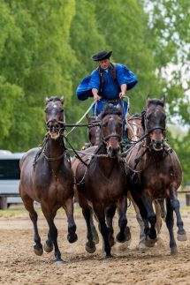 Tanyacsárda Vendégház15