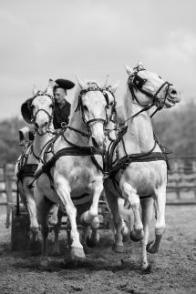 Tanyacsárda Vendégház16