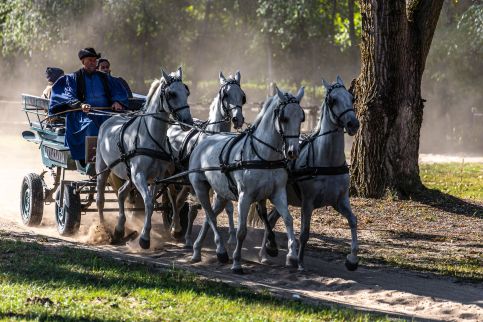 Tanyacsárda Vendégház17