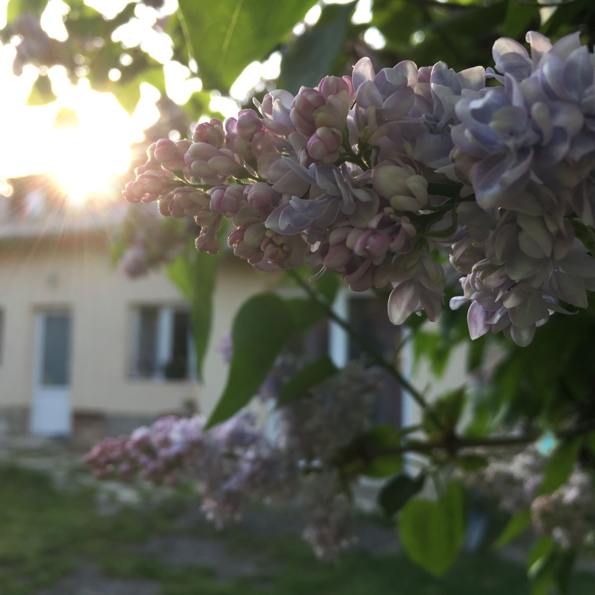 First Apartman – Balatonfüred fotó 15