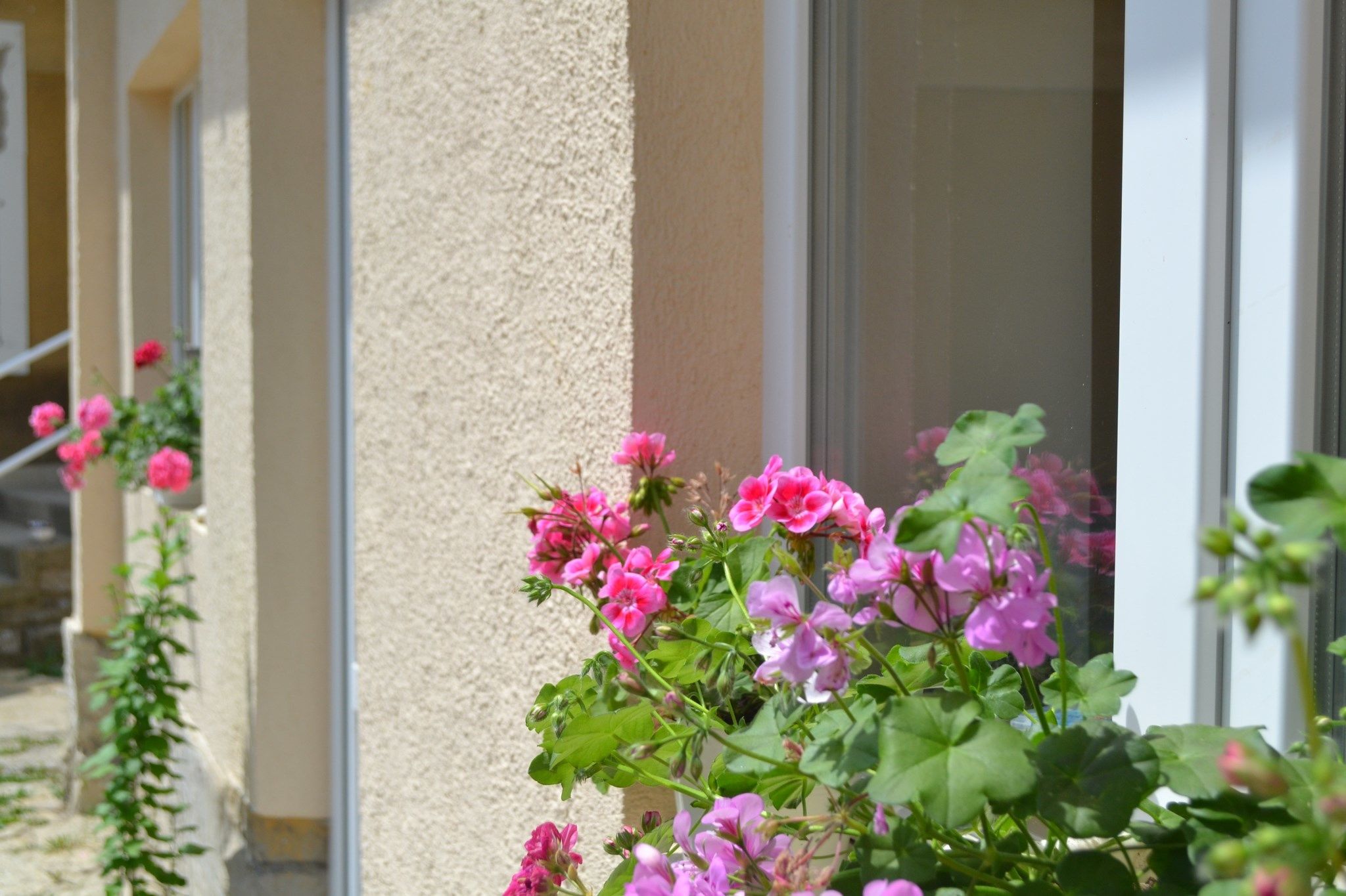 First Apartman – Balatonfüred fotó 16