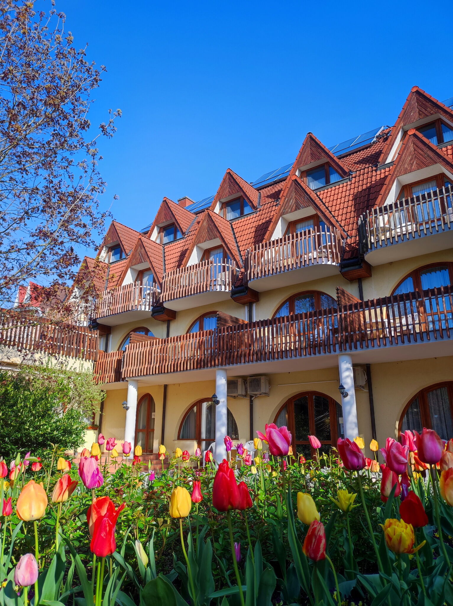 Ágnes Hotel – Hévíz fotó 18