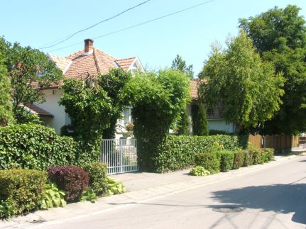 Balaton House5