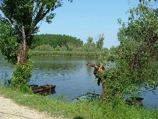 D K Panzió – Fadd