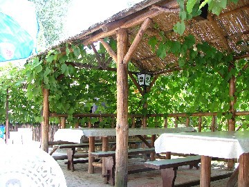 D K Panzió – Fadd fotó 6