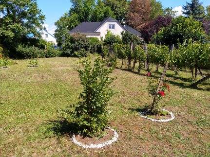 Béke Szigete a Balatonnál1