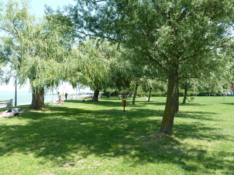 Ildikó Apartman – Balatonszárszó fotó 13