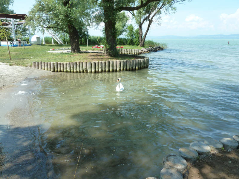 Ildikó Apartman – Balatonszárszó fotó 15