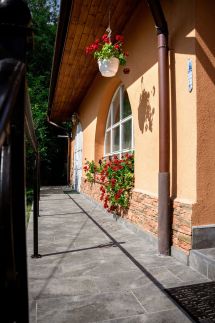 Zenit Panzió40