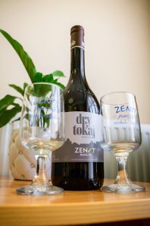 Zenit Panzió71