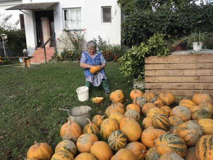 Csörgő Vendégházak141